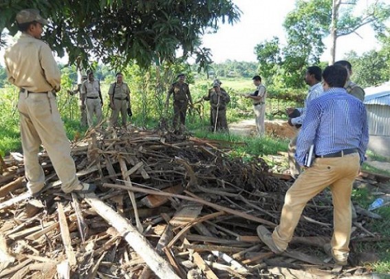Kalyanpur Forest Department ceased wooden logs worth Rs. 2.50 lakhs